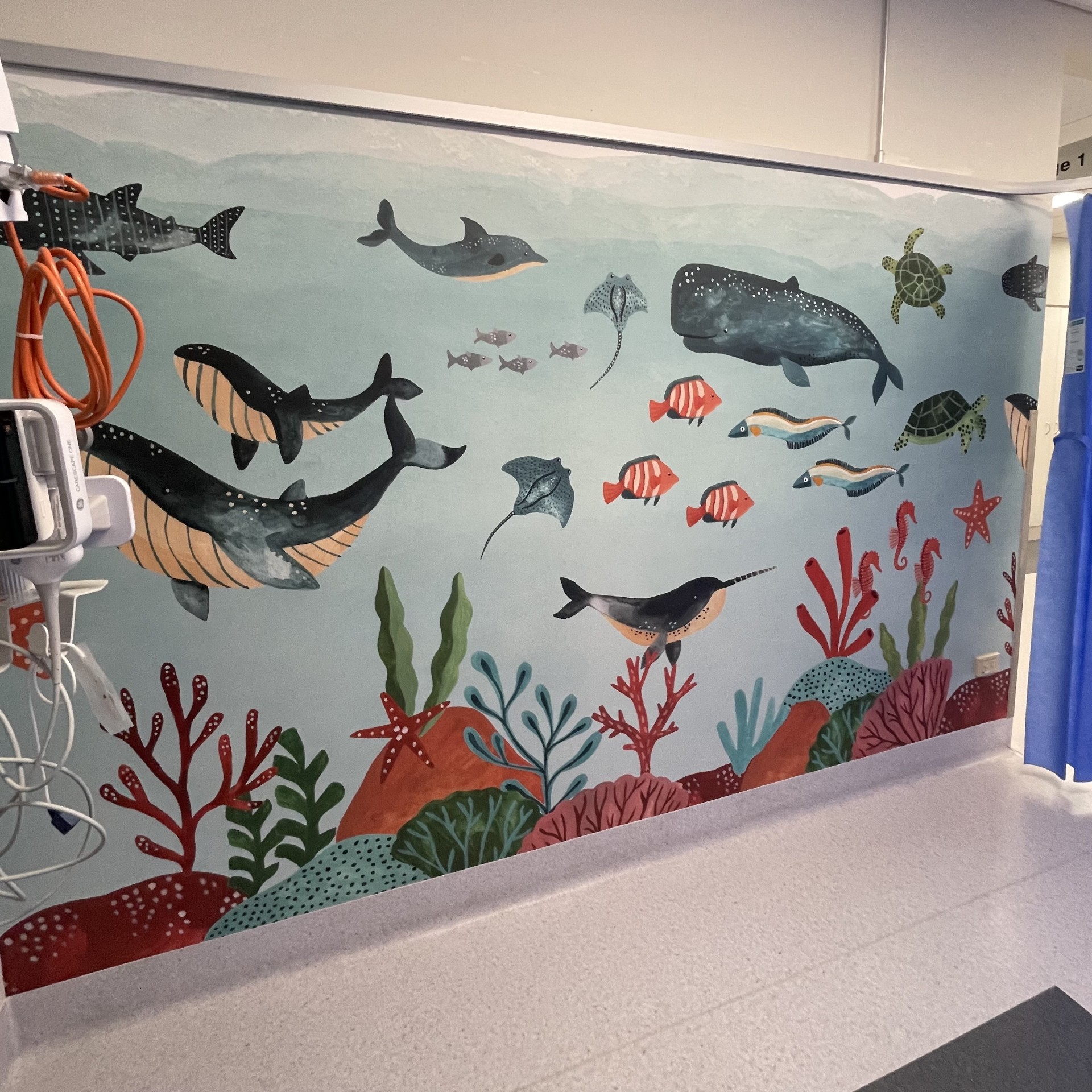 wallpaper installation Cairns mural, Cairns hospital, wall art, home improvement, wallpaper near me